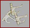 HA055 Set of Six Coat Hooks