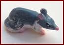 a102 rat