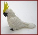 AMB203 Cockatiel