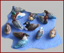 a025 duck