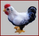HAK605 Black and White Hen