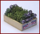 SA094 Small Crate of Purple Roses