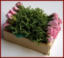 SA334 Crate of Dark Pink Roses