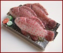 SA342 Tray of Fish on Ice