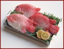 SA343 Tray of Fish on Ice